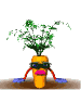 growing_carrot