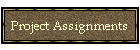 Project Assignments