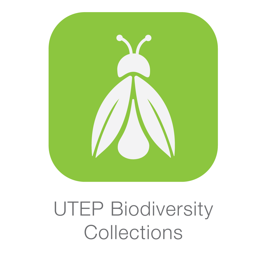 utep biodiversity app-button