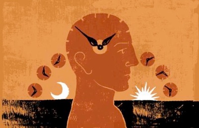 circadian