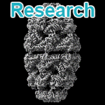 Research